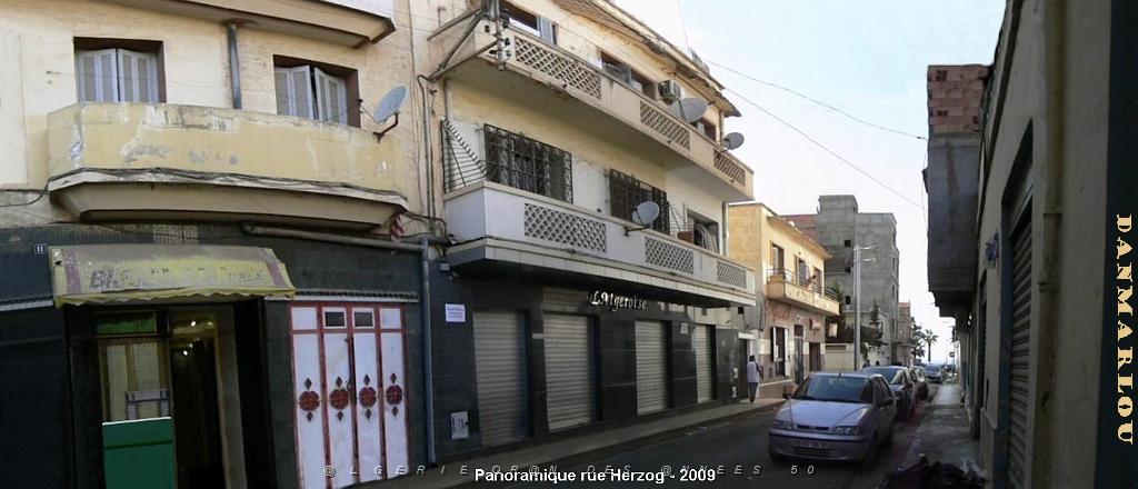 ORAN 2009 pano rue Herzog 02.jpg
